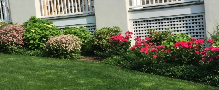 seasonal planting guide westchester fall