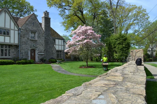 expert landscaper new rochelle
