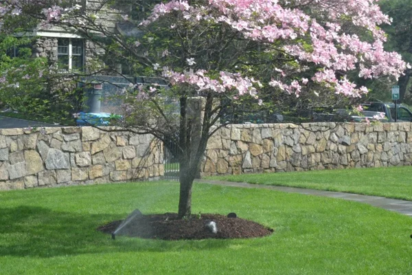 irrigation system installation new rochelle