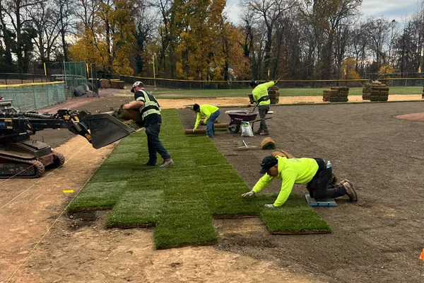 lawn installation new rochelle