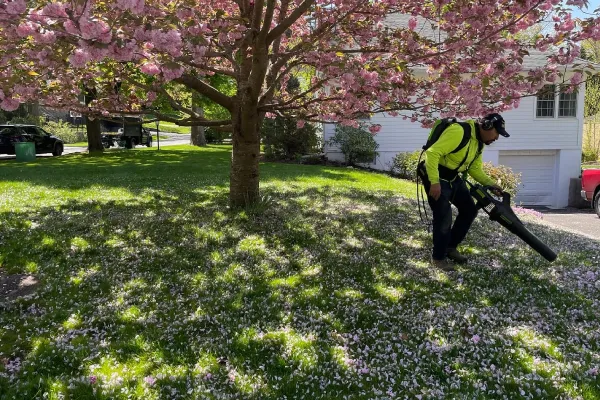 Professional lawn maintenance in Westchester New York