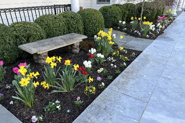 Professional annual installation services in Westchester, NY