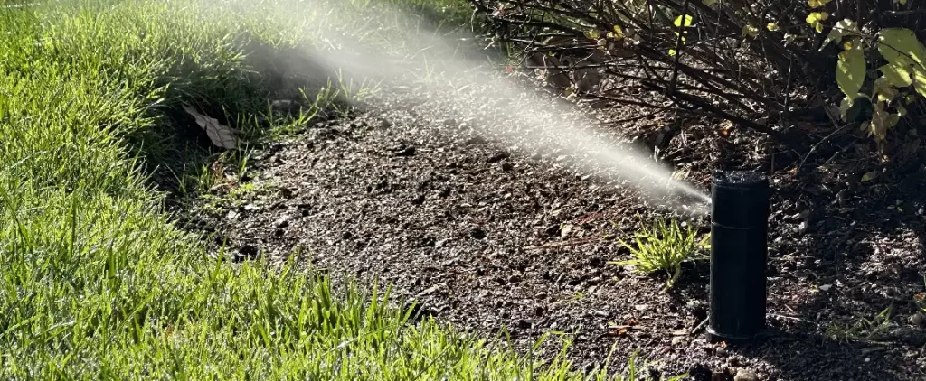 best-irrigation-method-raised-beds