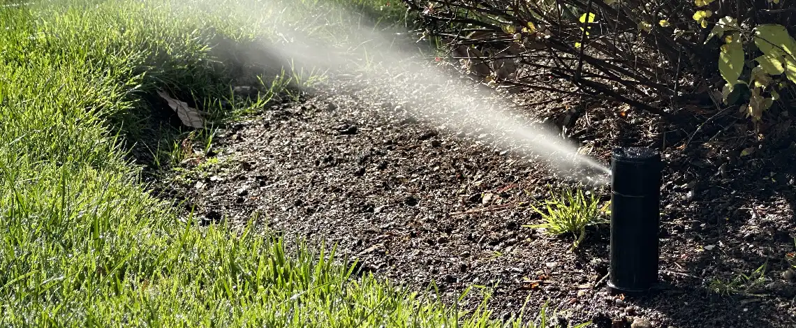 best-irrigation-method-raised-beds
