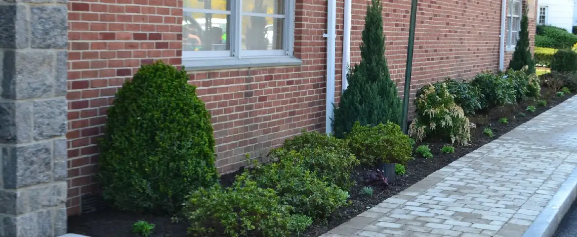 Businesses that can benefit from professional commercial landscaping services