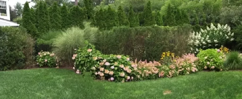 Here’s how curated plantings can create a backyard oasis in the Rye and Scarsdale, NY areas