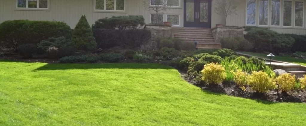 Looking for an Earth-Friendly Company When Searching “Lawn Care Near Me”? Here Are Our Green Options in the Scarsdale and Harrison, NY, Areas 10 green options in the scarsdale and harrison ny areas