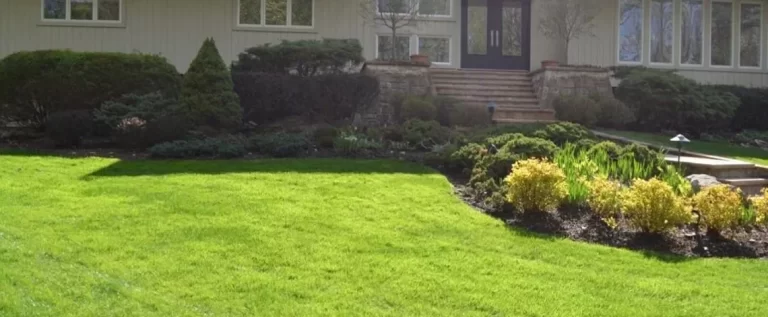 green options in the scarsdale and harrison ny areas