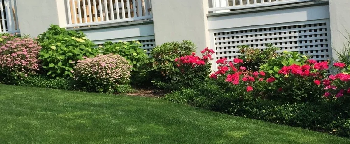 landscaping company with horticulturist in the harrison and larchmont ny areas
