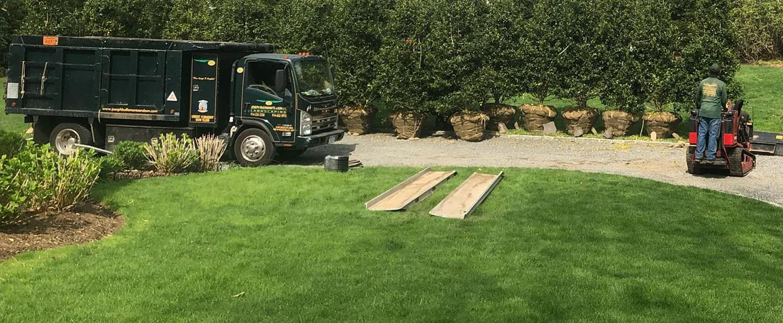 landscaping to prevent flooding