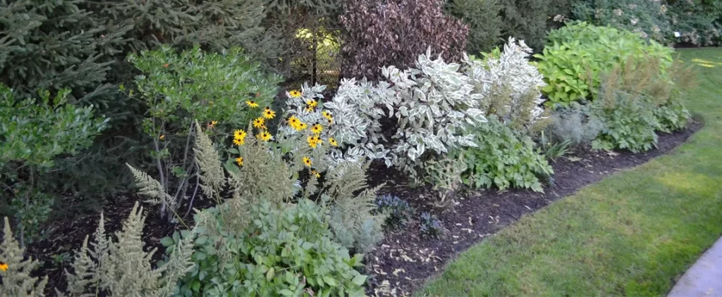 Landscaping Updates in Harrison and Larchmont, NY 6 landscaping updates in harrison and larchmont ny