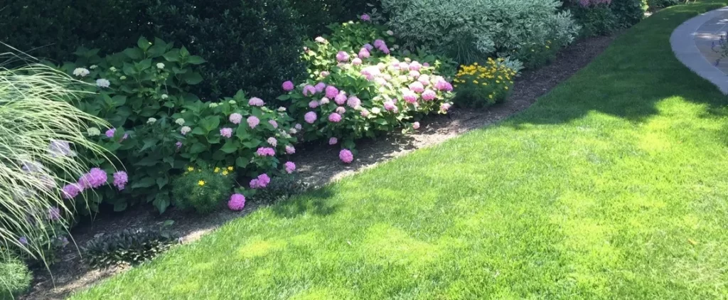 Lawn Care in Scarsdale and Larchmont NY 5 lawn care in scarsdale and larchmont ny