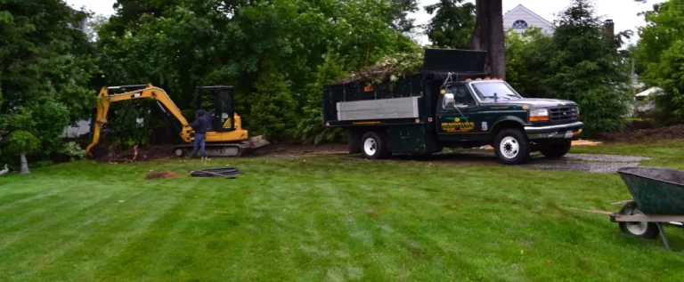 lawn care near me questions to ask