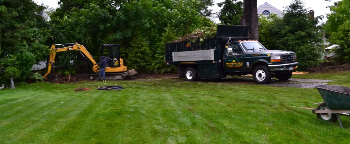 lawn care near me questions to ask
