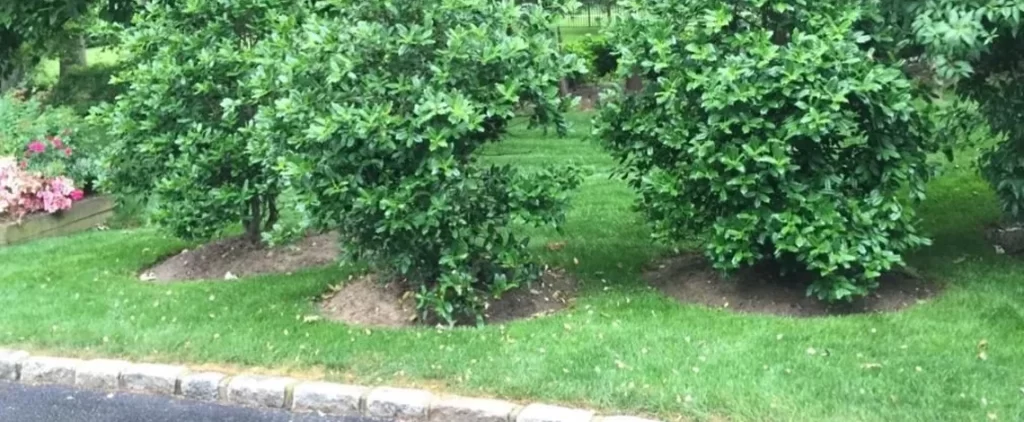 Landscaping Tips: 5 Reasons to Include Plantings Alongside Your Masonry Features in the Rye, NY, Area 5 masonry features in the rye ny area