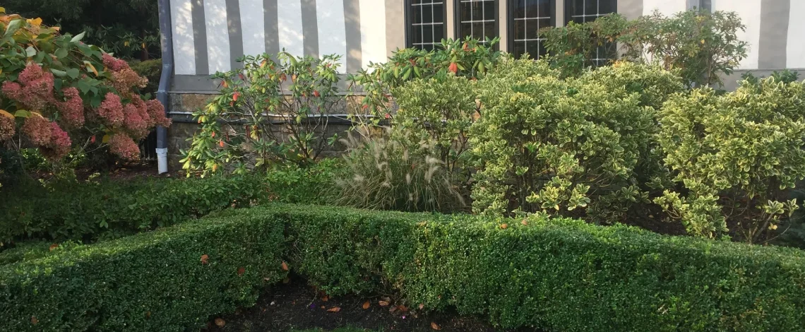 new year new landscaping ideas in Harrison and Rye NY