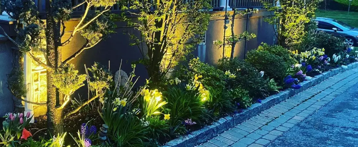 Emphasize your favorite front yard features with outdoor lighting for curb appeal