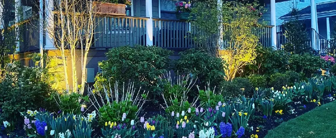 Give your landscaping the recognition it deserves with outdoor lighting