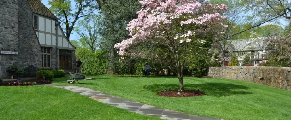 5 Sustainable Landscaping Solutions in the Harrison and Rye, NY Areas 10 Sustainable landscaping solutions for eco-friendly gardens in Harrison and Rye, NY