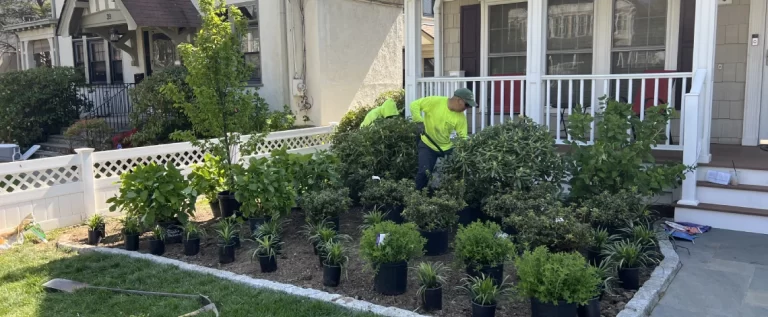 When Is Landscaping Season when is landscaping season