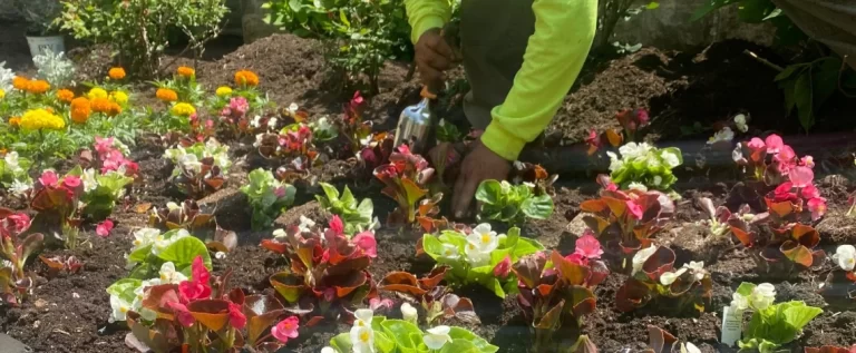 Why Is Landscaping Important why is landscaping important