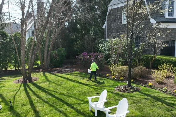 Custom lawn fertilization program designed for Westchester, NY