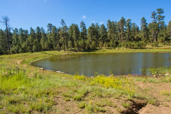 custom retention pond construction westchester ny