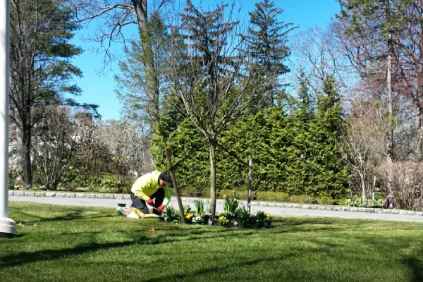Deep lawn fertilization delivering nutrients directly to the grass root zone Filename: