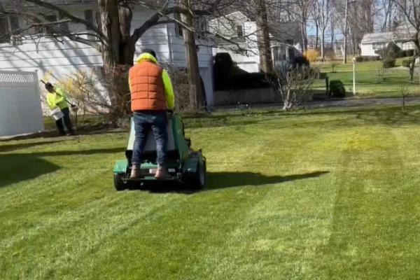 Mechanical lawn aeration improving oxygen and nutrient flow to grass roots