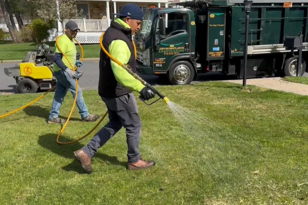 Pre-emergent weed control treatment preventing invasive weeds in lawns