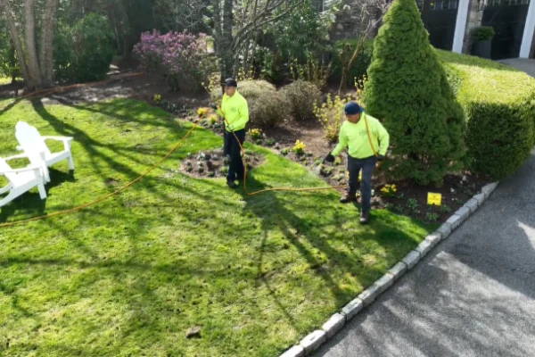 Post-emergent weed control service targeting active lawn weeds