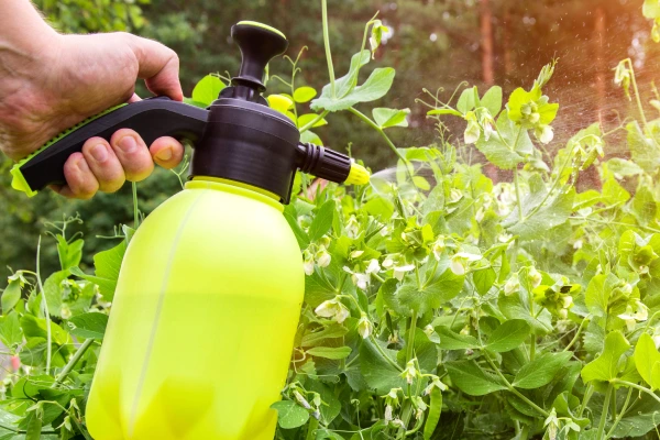 Professional foliar feeding treatment supporting healthy turf and ornamental plants