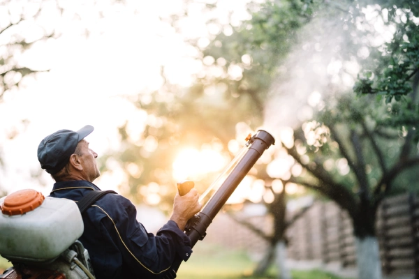 Professional mosquito control service providing long-lasting outdoor protection