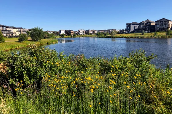 retention pond construction westchester ny