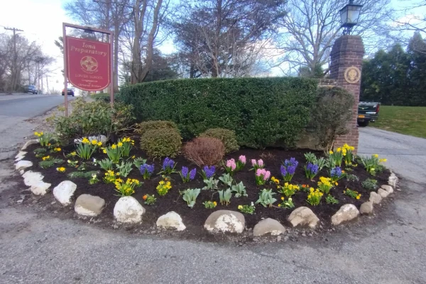 Seasonal flower bed maintenance restoring clean, healthy planting areas