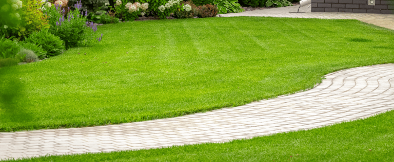 front yard curb appeal ideas in westchester