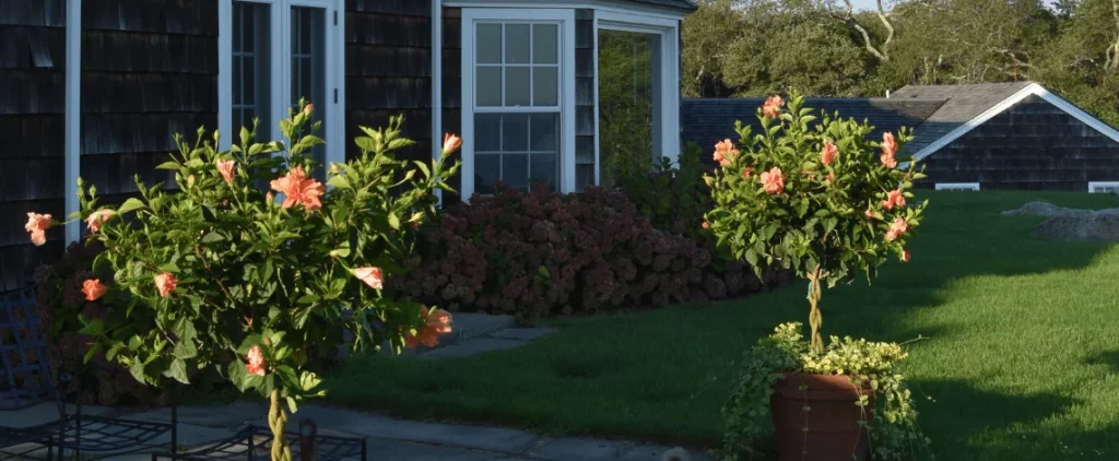 waterfront landscape design long island sound