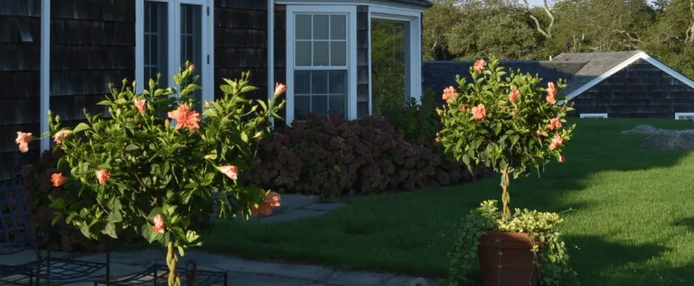 waterfront landscape design long island sound